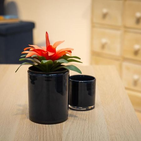 Casetta Lazio Apartment Castiglione In Teverina ภายนอก รูปภาพ